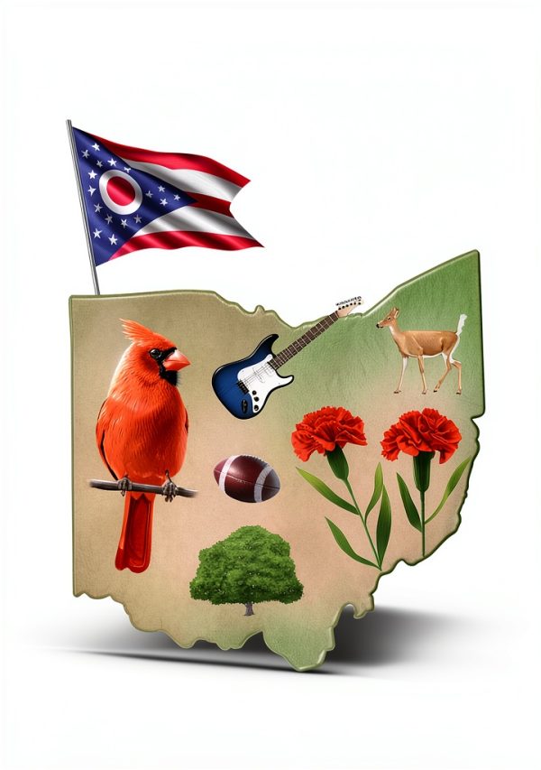 Who HQ: The 50 States, Grade 3-7, English, 56 Pages-0