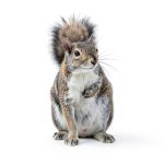 My Incredible World: Nature and Animal Picture Books for Children-0