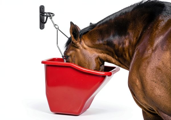 Metal Bucket Hangers for Horse Stalls - Wall Mount Bucket Holder for Grain Feed - Black-1