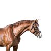 Sukh Acrylic Horse Mirror - Safe Stall Mirrors Sheet Horse Toy Hanging Pony Calming Non Glass Shatterproof Horse Toys for Stable Barn Stall Toy Entertainment (16.92 x 12.99 Inch)-4
